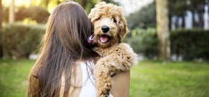 Owning pets in sectional title schemes in South Africa