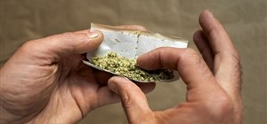 Is Cannabis Legal in SA? Our Attorneys in Cape Town Explain