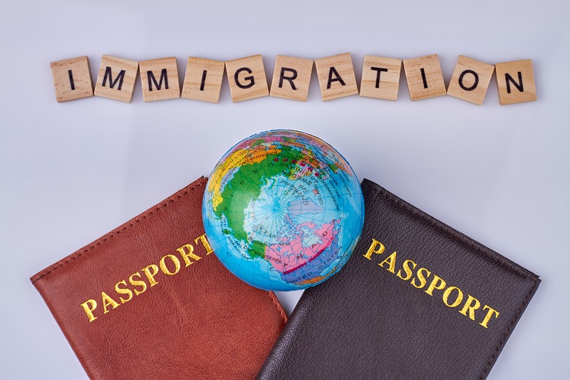 Immigration law in South Africa