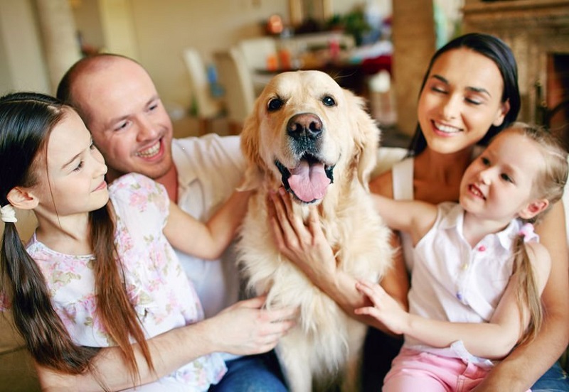 owning pets in a sectional title scheme